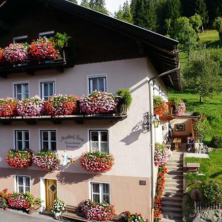 Musikhof Lexer Apartment Liesing Exterior foto